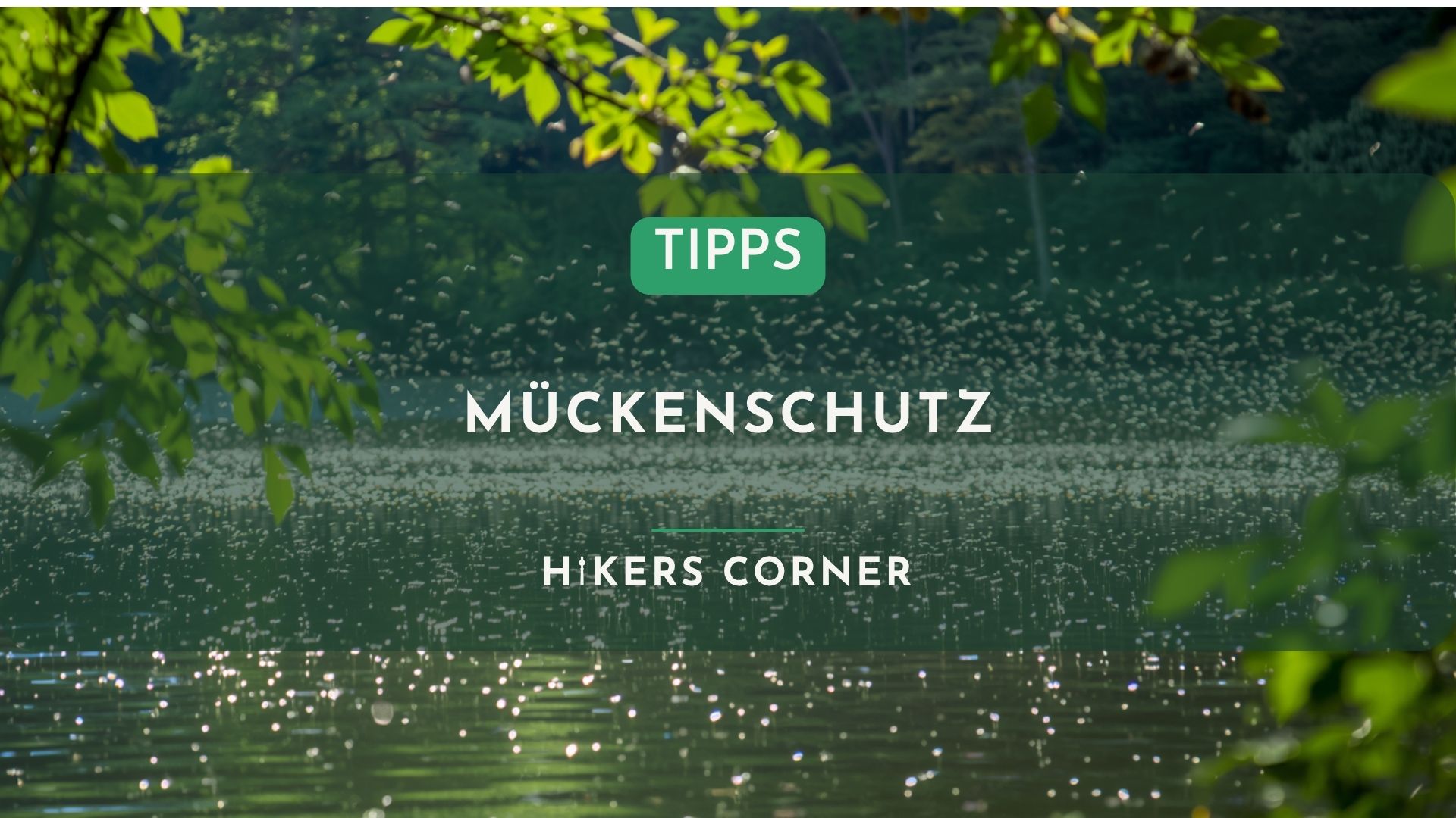 Mückenschutz beim Wandern in Berlin und Brandenburg