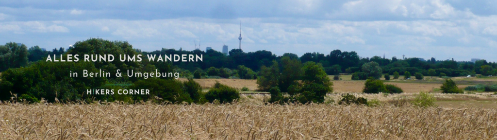 Sommerliche Feldlandschaft bei Berlin als Symbolbild für Wandertouren im Sommer